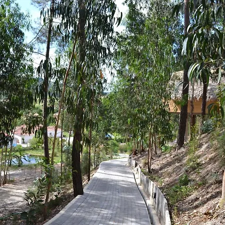 Mountview 팜스테이 알렌쿠어