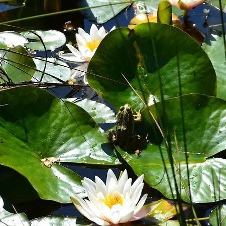 팜스테이 Mountview *