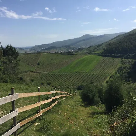 Mountview * ألينكوير