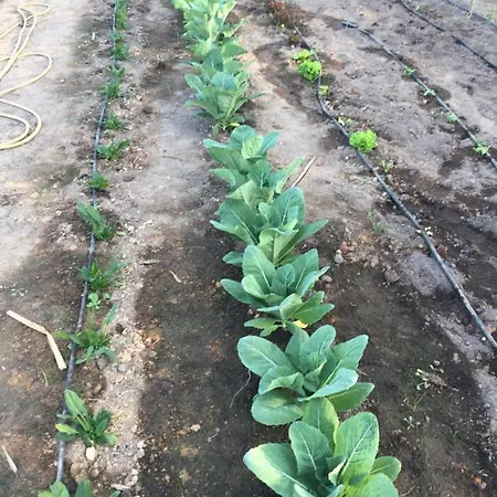 Mountview Séjour à la ferme Alenquer