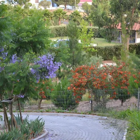 مزرعة للإقامة Mountview