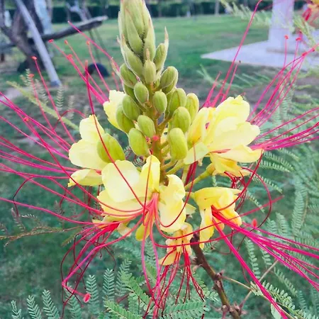 팜스테이 Mountview *