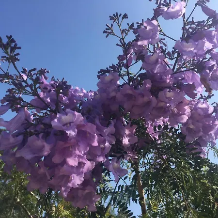 Mountview Séjour à la ferme Alenquer