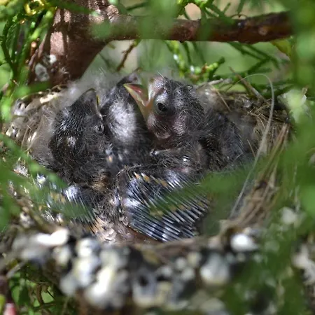 팜스테이 Mountview