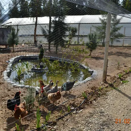 Mountview * Alenquer