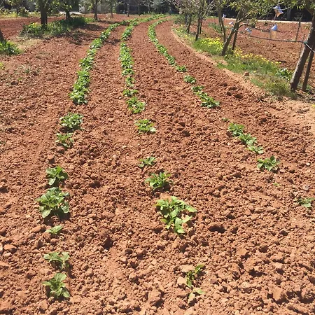 Mountview Séjour à la ferme Alenquer