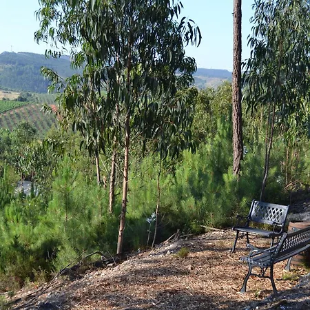 Mountview Séjour à la ferme