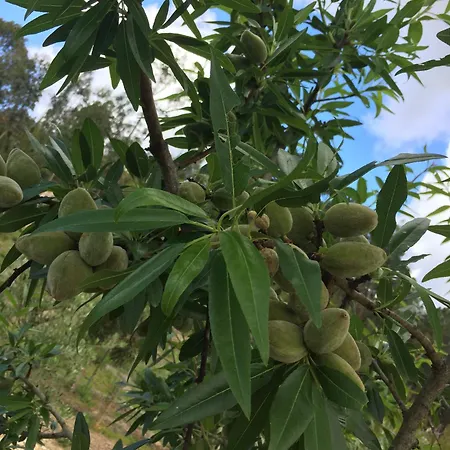 Mountview Séjour à la ferme *
