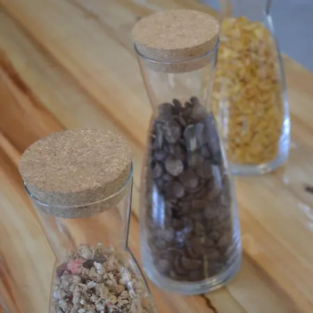 Séjour à la ferme Mountview