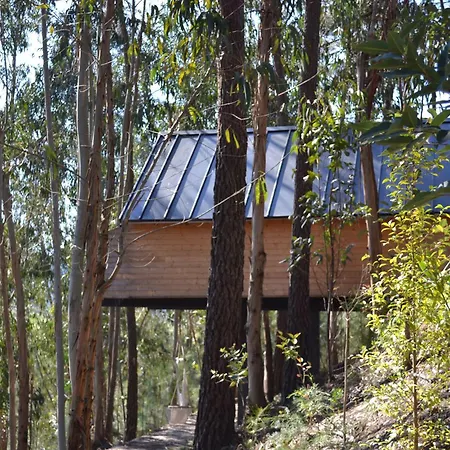 Mountview 알렌쿠어