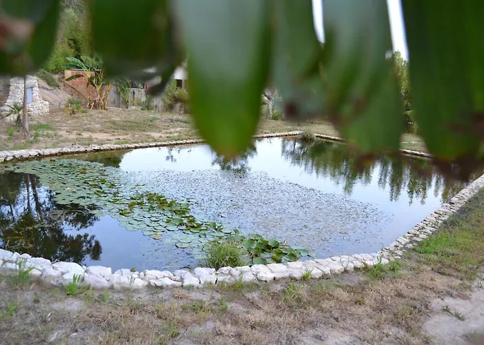 Gospodarstwo agroturystyczne Mountview Alenquer