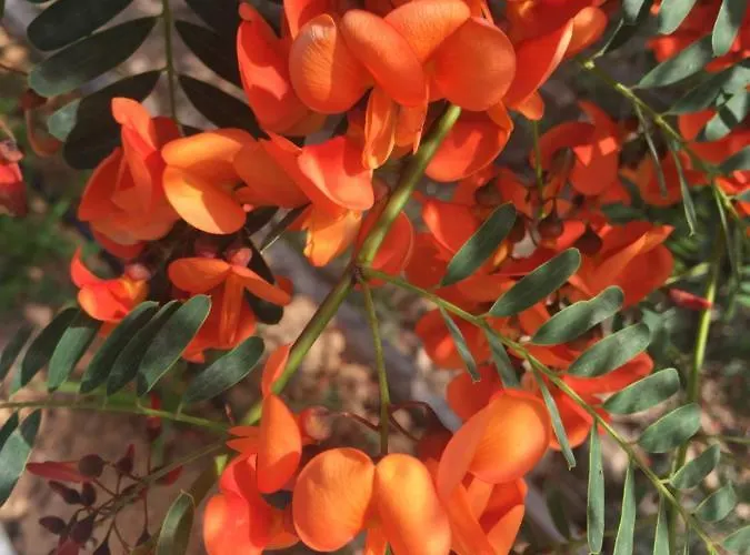 Mountview Gospodarstwo agroturystyczne