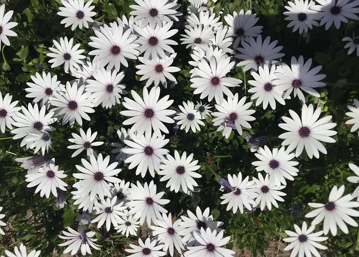 Mountview Gospodarstwo agroturystyczne