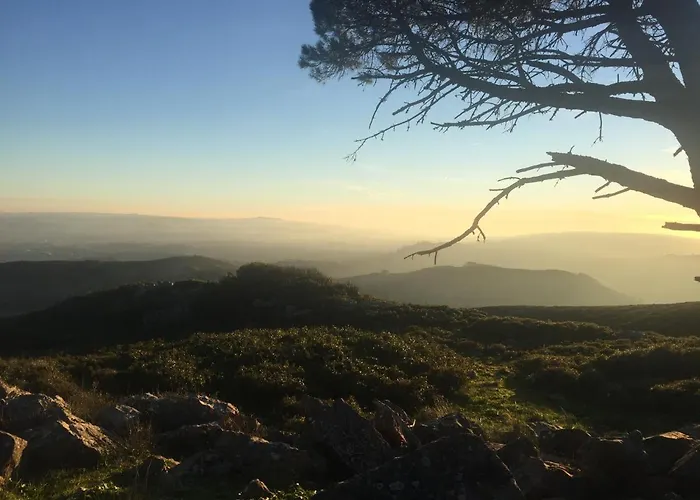 Mountview Gospodarstwo agroturystyczne *