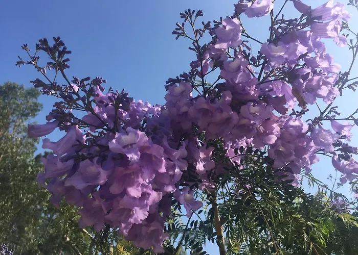 Mountview Gospodarstwo agroturystyczne Alenquer