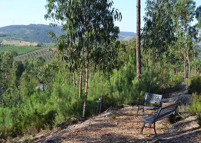 Mountview Farm stay