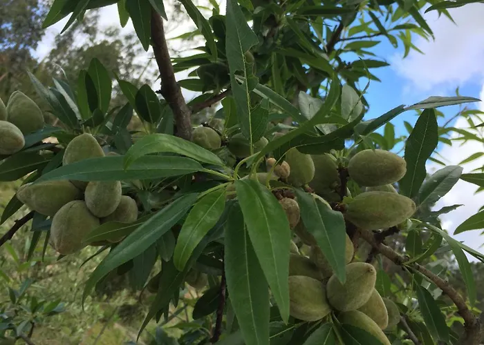 Mountview Gospodarstwo agroturystyczne *